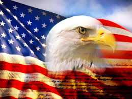 American Elite Move In/Move Out Cleaning and Property Clean Up Services